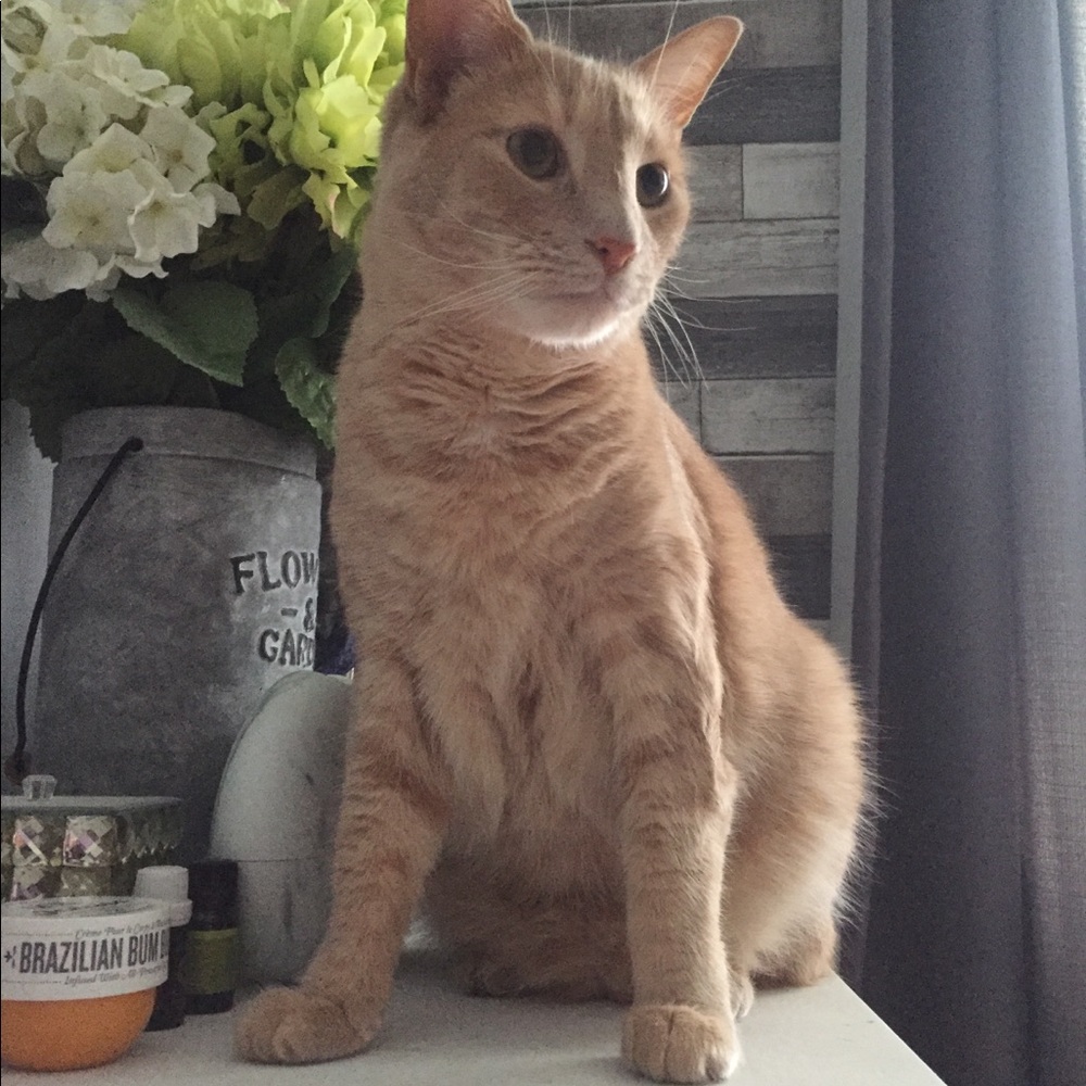 Meet your Posher, Ulyana